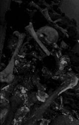 Nyarlathotep (ESP) : Alliance of the Black Death